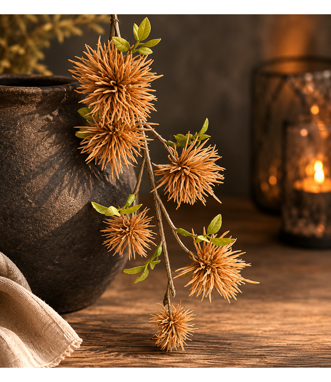 wilde castanea brown