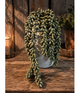 @ Erwten plant - groen - kunst - 10x2,5x33cm