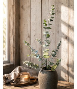 Countryfield @ Eucalyptus S groen-L19B19H79CM
