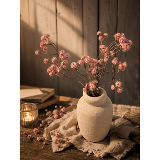 # Gypsophila roze-L20B20H62CM - gipskruid