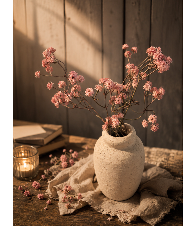 # Gypsophila roze-L20B20H62CM - gipskruid