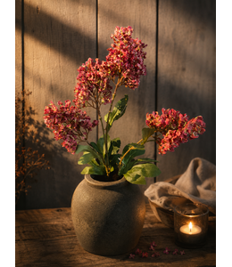 # Hydrangea Spray Red Grande 75 cm