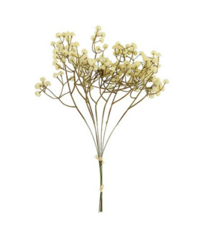 Countryfield # Gypsophila bundel crème-L7B7H33CM