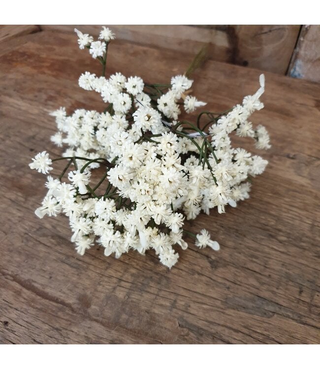 Countryfield # Gypsophila bundel crème-L7B7H33CM
