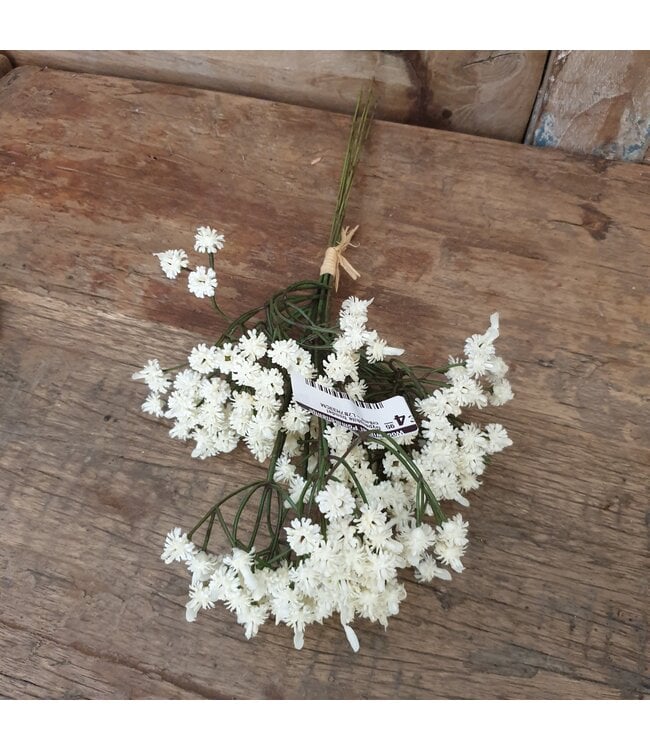 Countryfield # Gypsophila bundel crème-L7B7H33CM