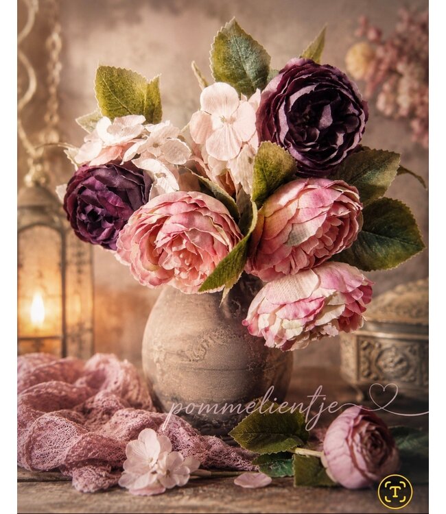Toef old pink/aubergine