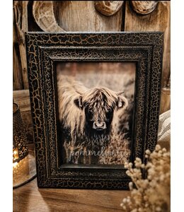 @ Fotolijst l antique black - afmeting fotolijst : 25 x 20 cm/foto formaat:13 x 18 cm