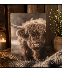 @ 891 - afbeelding op hardboard - hooglander  - 14 x 19 cm