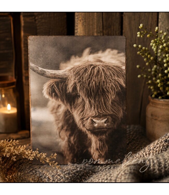 891 - afbeelding op hardboard - hooglander  - 14 x 19 cm