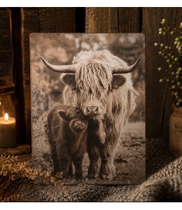 878 - afbeelding op hardboard -  hooglander met kalf - 14 x 19 cm