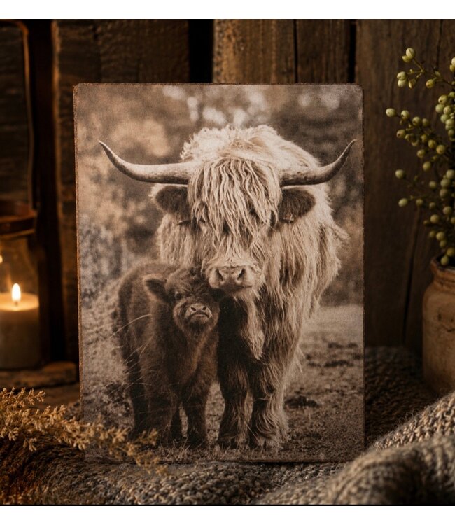 878 - afbeelding op hardboard -  hooglander met kalf - 14 x 19 cm