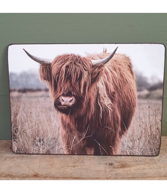 869 - Schotse hooglander - bruin - 19 x 14 cm