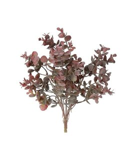 Plant steker Eucalyptus S rood-15x15x33CM