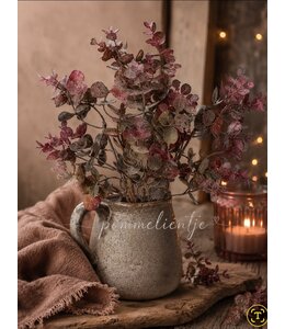 @ Plant steker Eucalyptus S rood-15x15x33CM