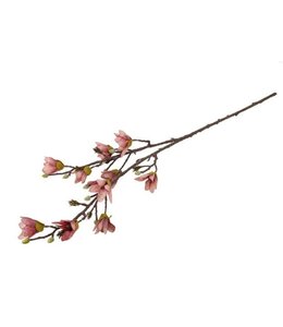 Countryfield @ Magnolia miranda bordeaux-20x20x92CM