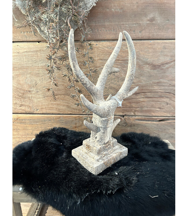 ### wordt niet verzonden Gewei ornament Misty S 15 x 8 x 28