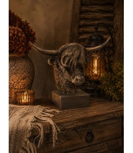 Countryfield @ Schotse hooglander op voet Ulla L bruin-L39B19H33CM