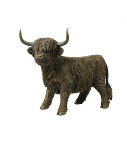 Countryfield 4 juli komen ze weer binnen - Schotse hooglander Ulla L bruin-L39B19H33CM