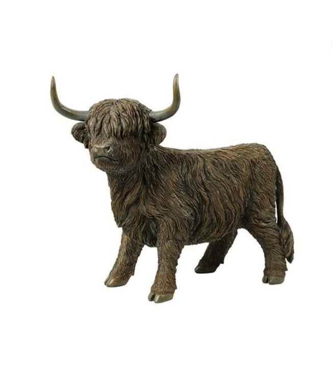 Countryfield 4 juli komen ze weer binnen - Schotse hooglander Ulla L bruin-L39B19H33CM