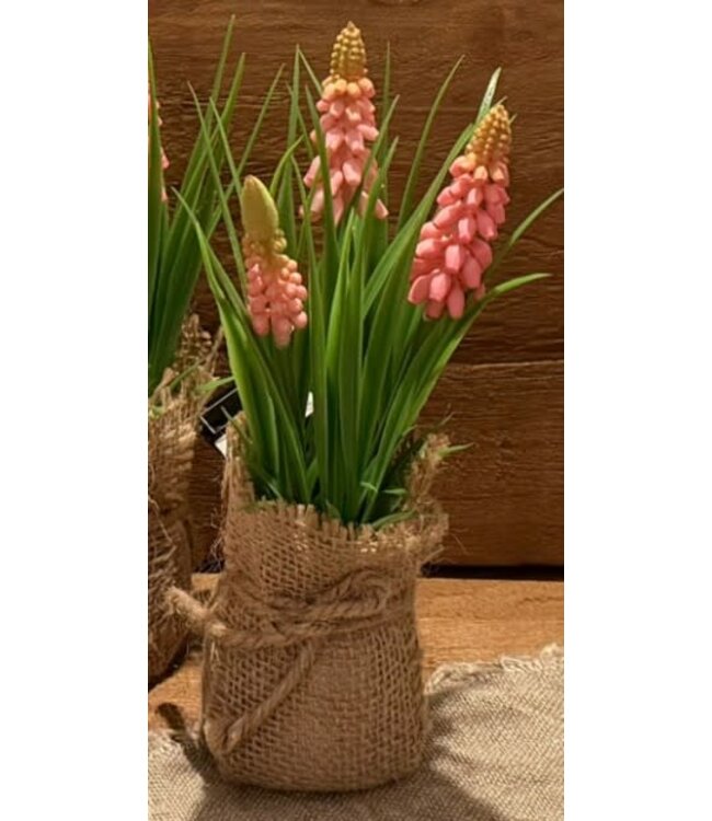 Countryfield # Roze druif in jute Muscari  - L8B8H20CM
