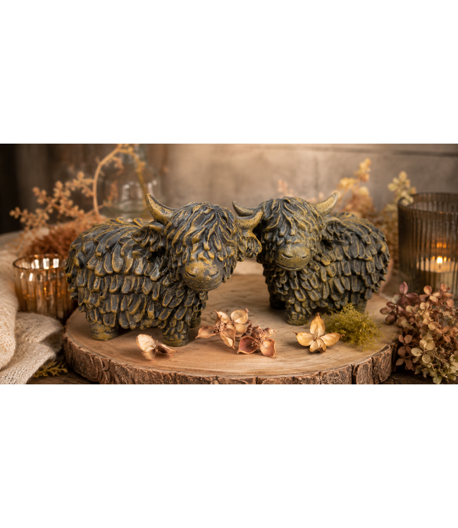 Countryfield # Schotse hooglander Jake L a2 bruin-L18,5B10H14,5CM - per stuk
