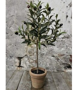 # Silk Olijf in pot 60cm