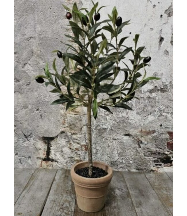 Silk Olijf in pot 60cm