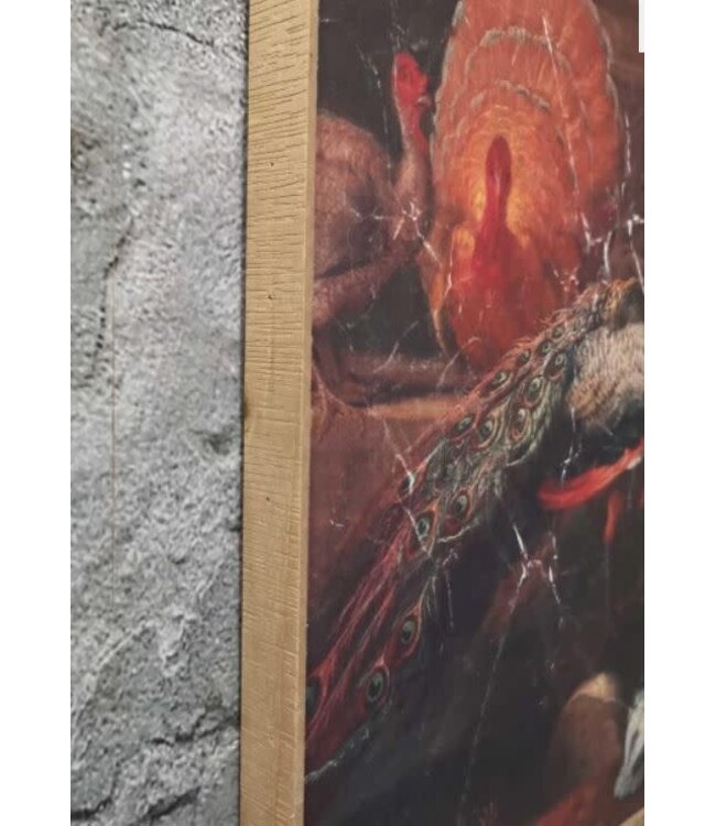 Muse pauw op doek in houten lijst - 51 x 71 cm