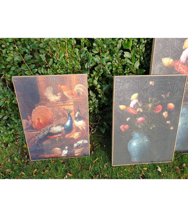 Muse pauw op doek in houten lijst - 51 x 71 cm