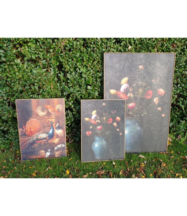 Muse pauw op doek in houten lijst - 51 x 71 cm