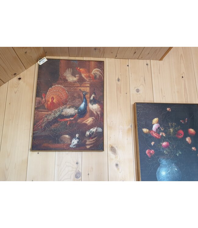 Muse pauw op doek in houten lijst - 51 x 71 cm