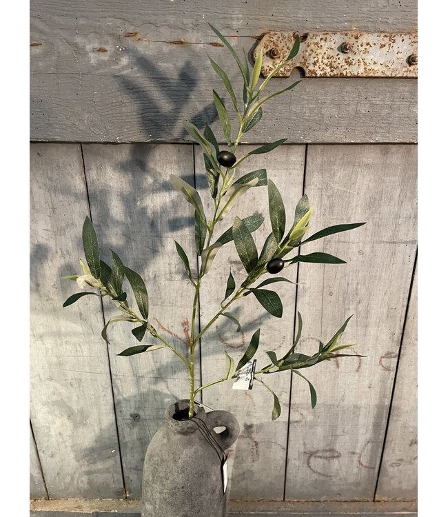 Countryfield # Olijventak - Olea groen-L5B20H80CM