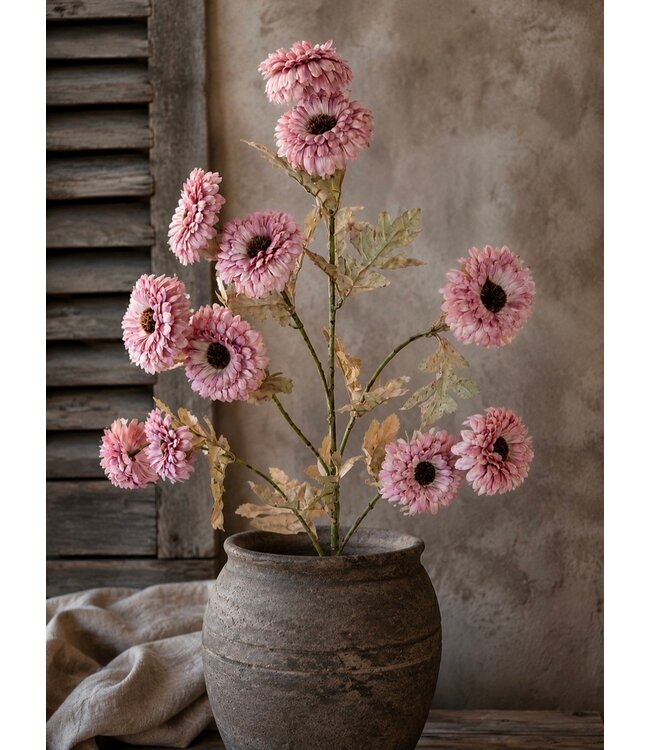 # Aster ag. Lila - 88 cm