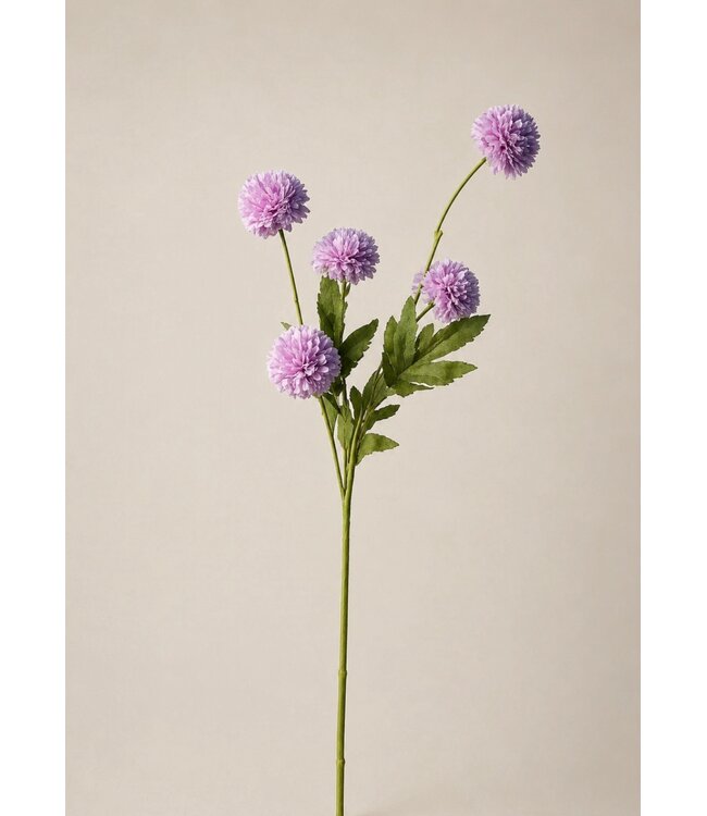 # Gompy spray x5 L51cm lilac