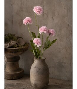 # Gompy spray x5 L51cm pink