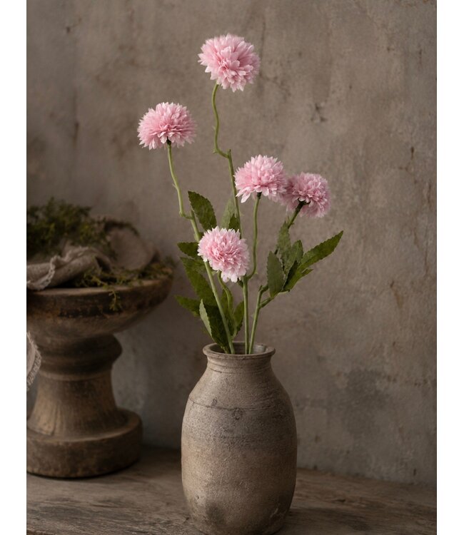 # Gompy spray x5 L51cm pink
