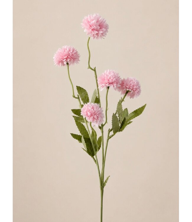 # Gompy spray x5 L51cm pink