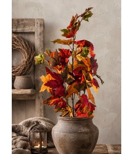 @ Esdoorn l80cm oranje/geel/groen