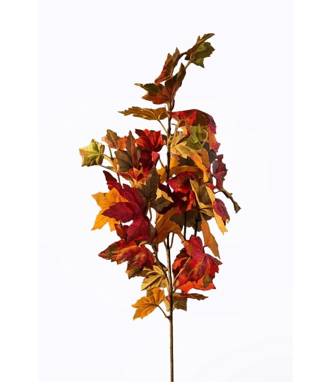 #  Esdoorn l80cm oranje/geel/groen