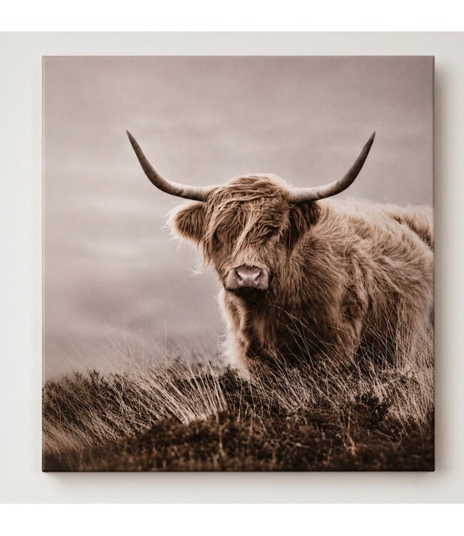 # Schilderij hooglander grijs - canvas - 40 x 50 cm