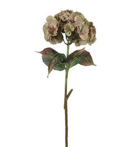 Countryfield @ Kunstbloem Hydrangea beige-L24B24H79CM