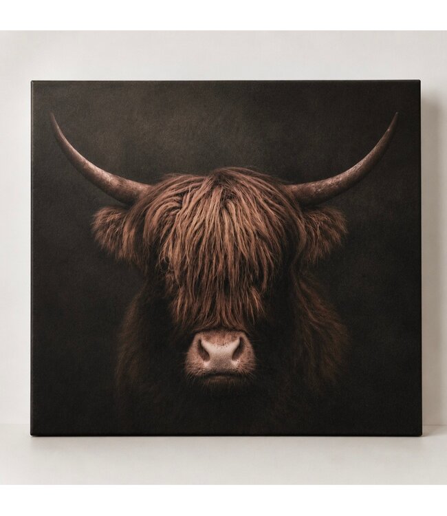 # Schilderij hooglander donker - canvas - 50 x 40 cm