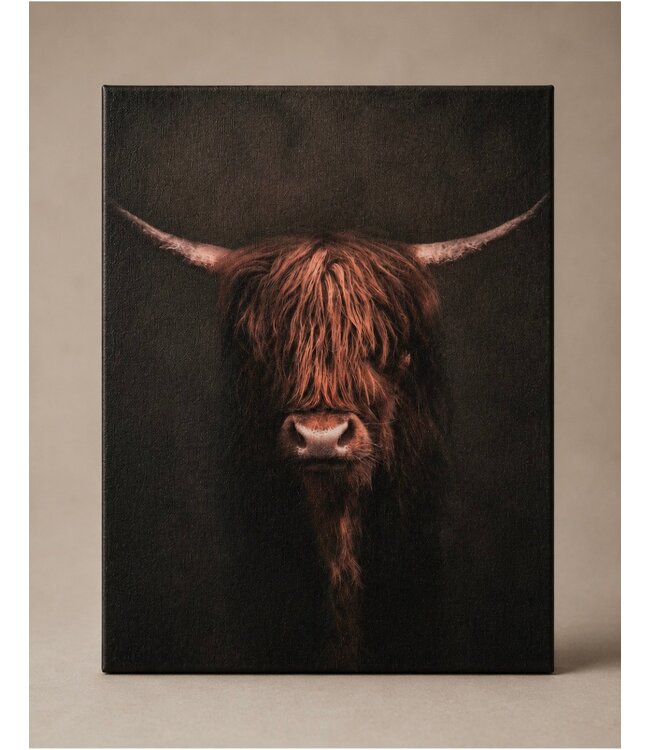 # Schilderij hooglander donker - canvas - 40 x 50 cm