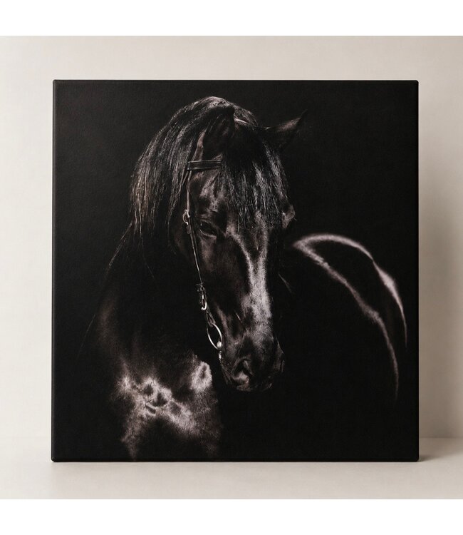 # Schilderij paard - canvas - 40 x 50 cm