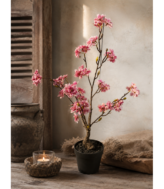 Countryfield # Roze bloesem boom in pot - ca. 65 cm