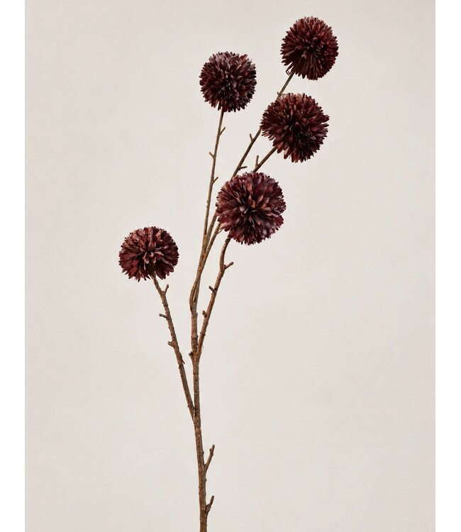 Countryfield # Bloem Chrysanthemum paars-17x8x99CM