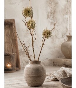 Countryfield # sobere groene disteltak