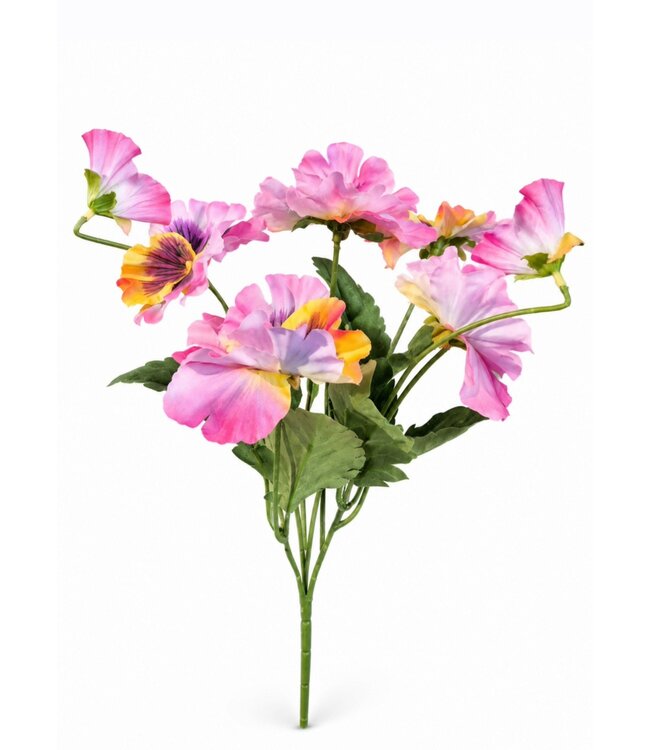 # Vioolplantje 5 x vertakt met 5 bloemen , 2 bloemknoppen & 11bladeren - 27 cm