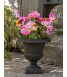 # Vioolplantje 5 x vertakt met 5 bloemen , 2 bloemknoppen & 11bladeren - 27 cm