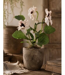 # viooltje met 3 bloemen, 1 knop & 11 bladeren - 27 cm